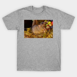 Wild  cute garden house  mouse T-Shirt